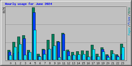 Hourly usage for June 2024