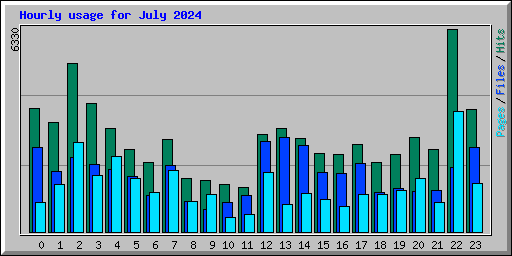 Hourly usage for July 2024