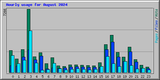 Hourly usage for August 2024